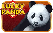 Lucky Panda H5